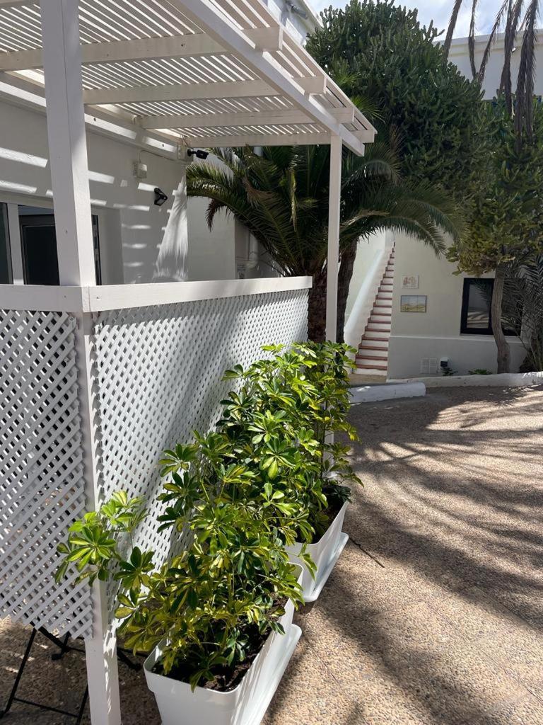 Apartamentos Punta Elena Beach Corralejo Exterior foto