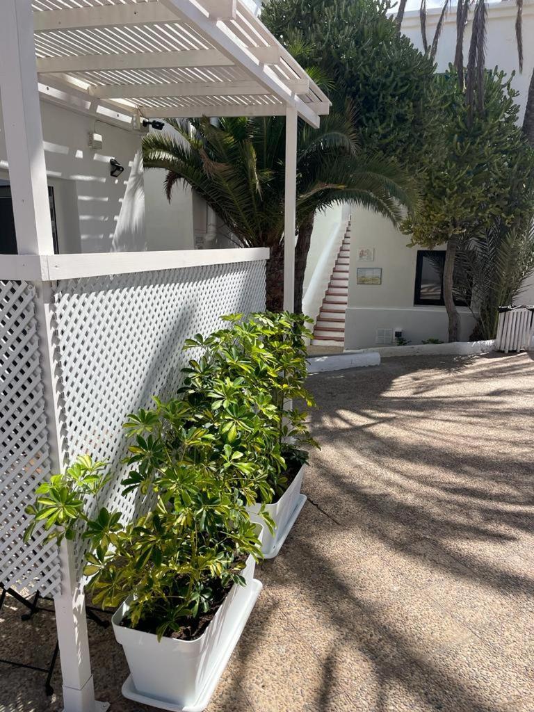 Apartamentos Punta Elena Beach Corralejo Exterior foto
